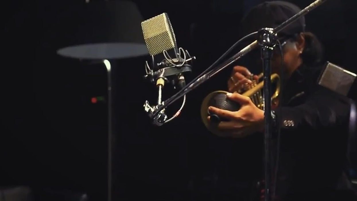 Cloud 44 Midnight Passive Ribbon Microphone + Cloudlifter for Professional Voice/Music Recording