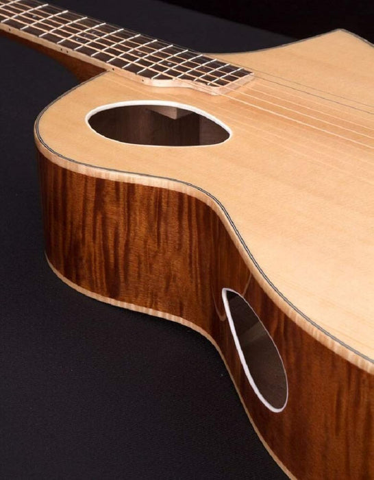 Michael Kelly Triad Port 6 String Acoustic-Electric Guitar Right (MKTPSGNSFZ)