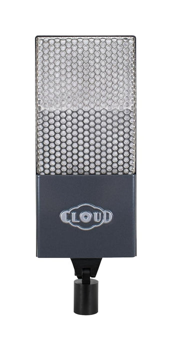 Cloud 44 Midnight Passive Ribbon Microphone + Cloudlifter for Professional Voice/Music Recording