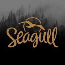 Seagull