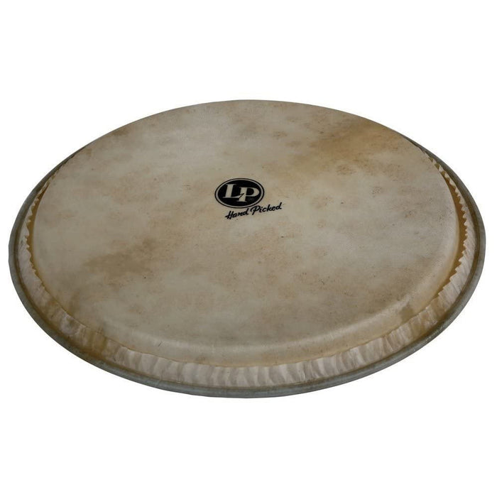 Latin Percussion LP960 14-Inch Galaxy Djembe Head