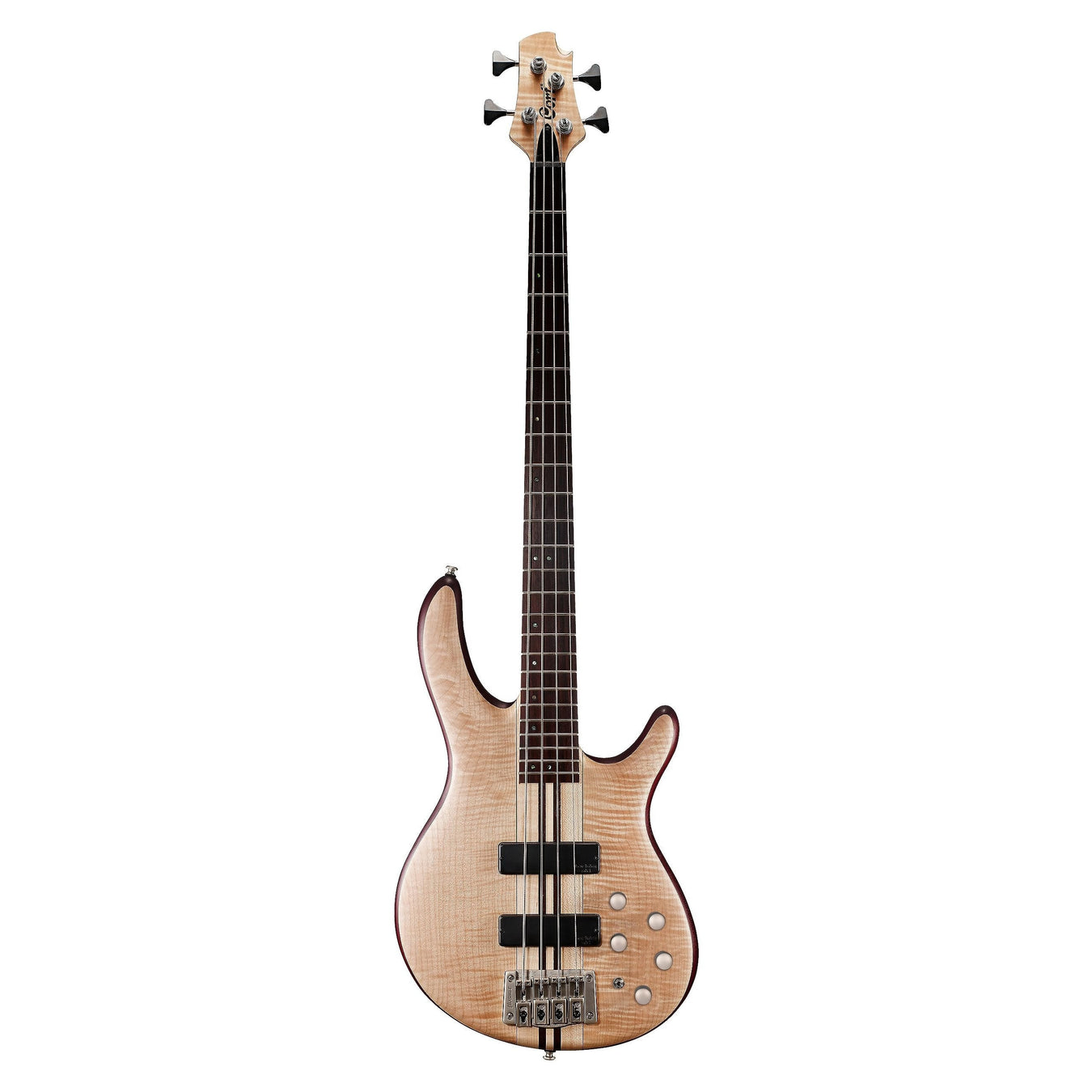 Bass Guitars