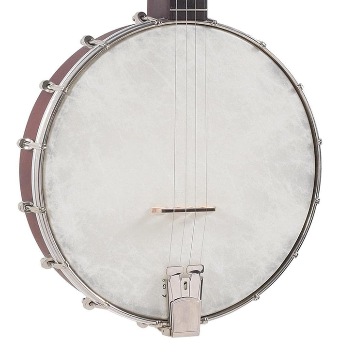 Recording King RKT-05 Dirty Thirties Tenor Banjo