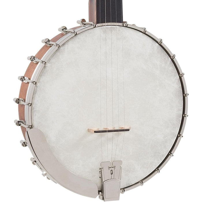 Recording King RK-OT25-BR Madison Open Back Banjo, Scooped Fretboard