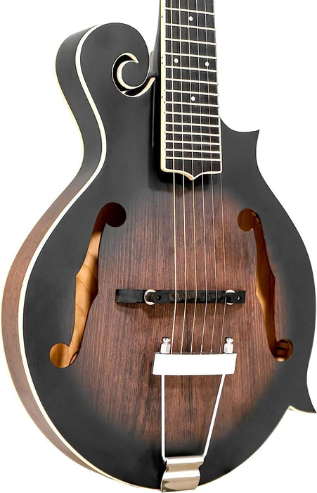 Gold Tone, 6-String Mandolin, Sunburst (F-6)