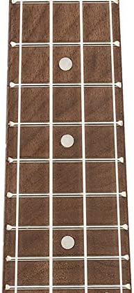 Ortega Guitars, 4-String Keiki Series Sopranino Ukulele with Turtle Etching, Right, Transparent black, (K1-CO)