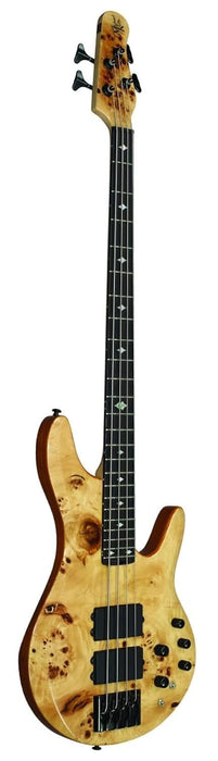 Michael Kelly Pinnacle 4 Bass Guitar