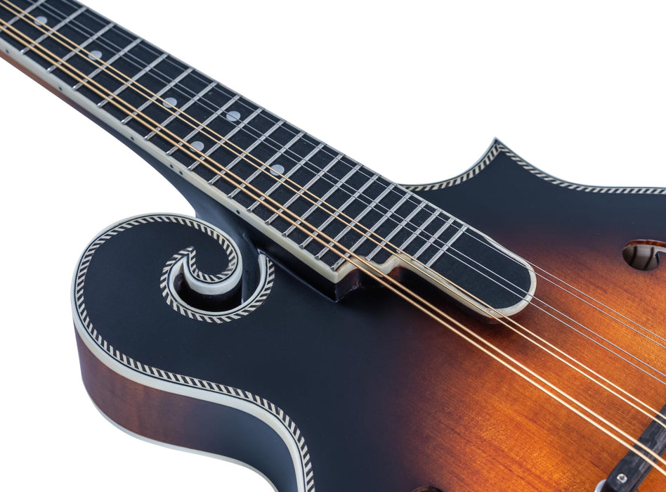 Washburn M3SEBRK F style Mandolin Brown Burst with Gig Bag