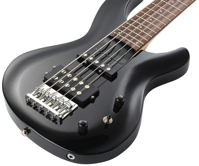 Aria Pro II 5 String Electric Bass Gtr Metallic Black