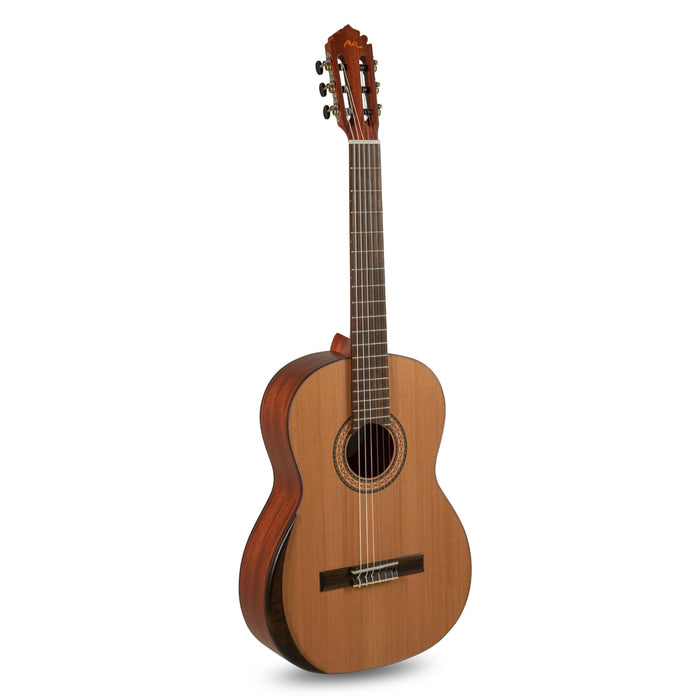 Manuel Rodriguez Tradicion T-65 4/4-4/4 classical guitar