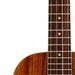 LM-IMAGE-114262782-