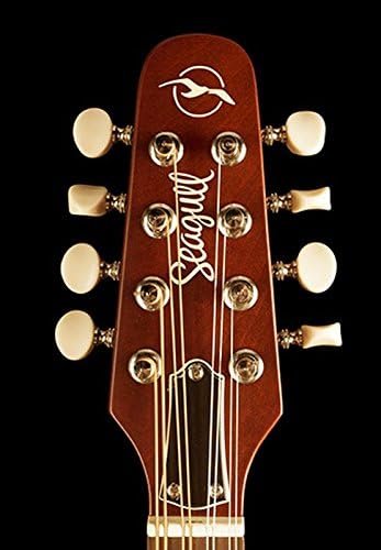 Seagull S8 Mandolin SG, Burnt Amber Burnt Umber