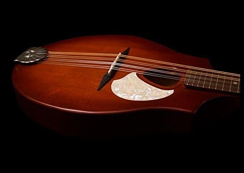 Seagull S8 Mandolin SG, Burnt Amber Burnt Umber