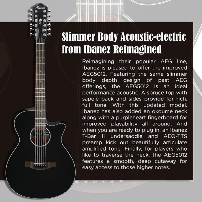 Ibanez Black AEG Series Single-Cutaway 12-String Acoustic-Electric Guitar (AEG5012)