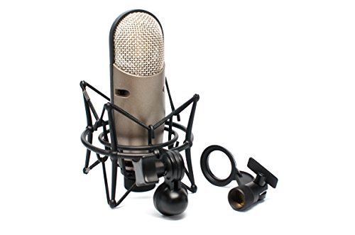 CAD Audio Variable-Pattern Condenser Microphone (M179-U)