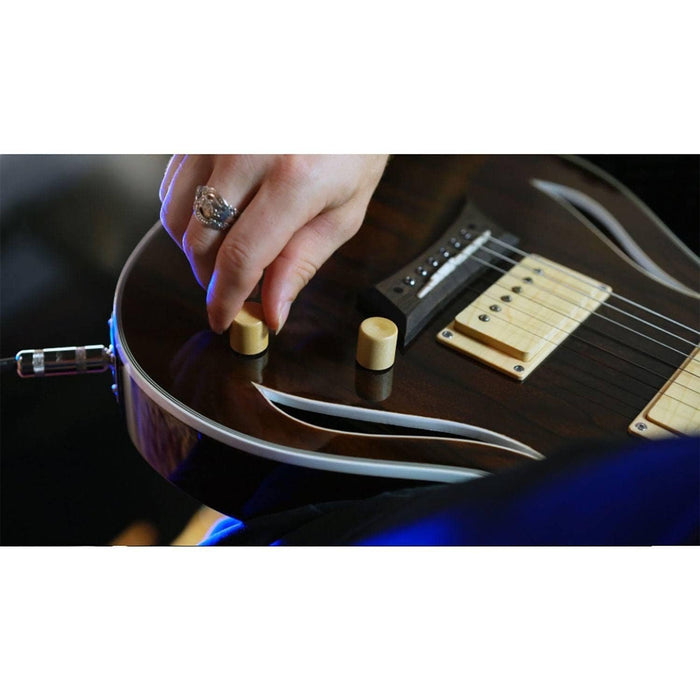 Michael Kelly Hybrid Special Electric Acoustic Guitar Ziricote