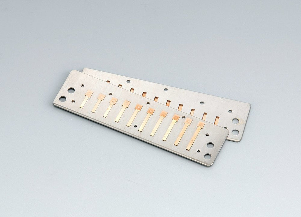 Suzuki Fabulous 10-Hole Diatonic Equal Temperment Harmonica, Key of A (F-20E-A-U)