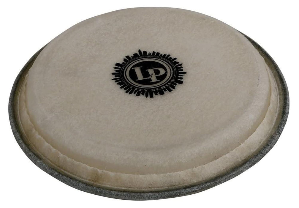Latin Percussion LP663B Large City Series Bongo Head