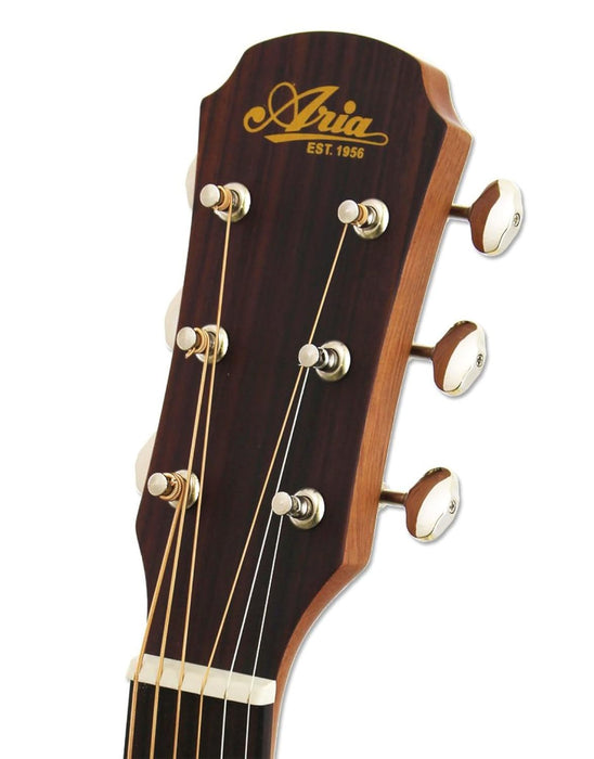 Aria Delta Player 6 String Acoustic Guitar, Muddy Brown Matte Finish, "OM" Orchestra Model (ARIA-101DP)
