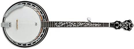 Ibanez B200 5-String Banjo with Basswood Rim