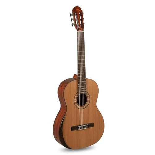 Manuel Rodriguez Tradicion T-65 4/4-4/4 classical guitar