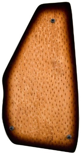 Oscar Schmidt 21 Chord Acoustic Electric Auto Harp, Natural Spruce (OS120CNE-U)