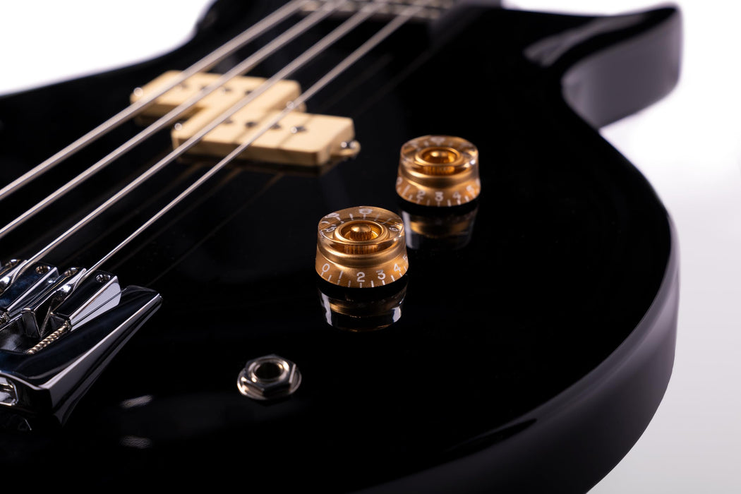 Washburn SB4 Wing Series Scavenger Bass w/Gigbag