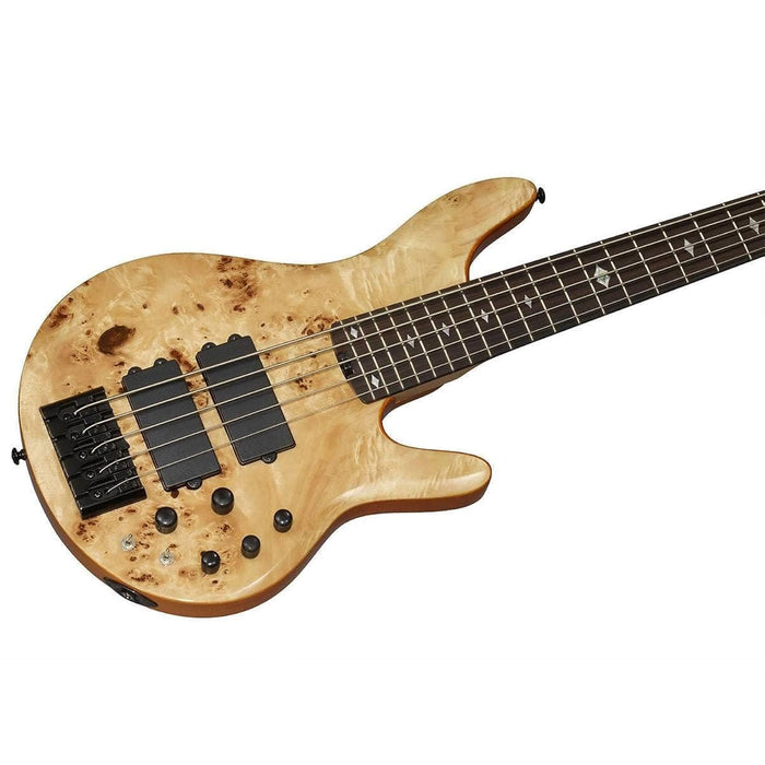 Michael Kelly Pinnacle 5 5-String Bass Guitar