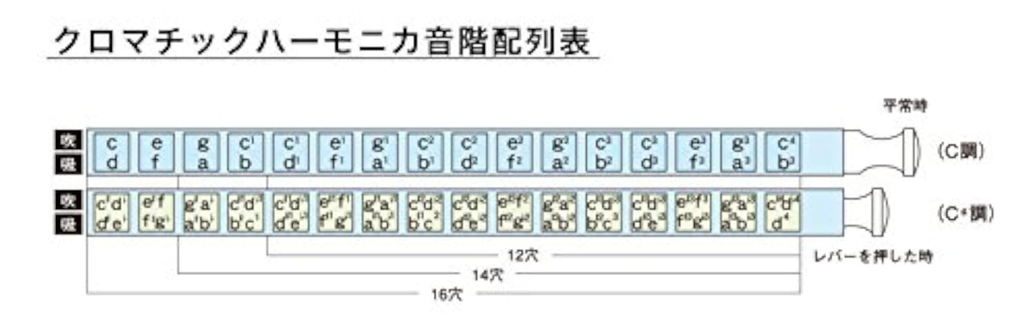 Suzuki Sirius 56-Hole Chromatic Harmonica Cross Alignment