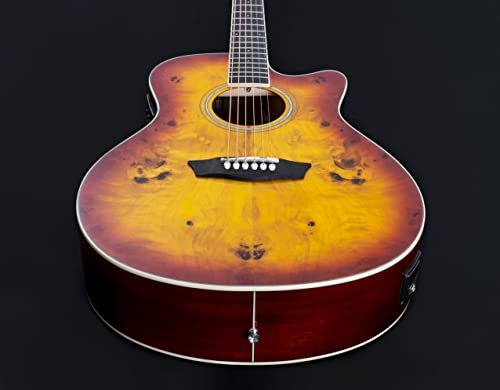 Washburn Deep Forest Burl Grand Auditorium Acoustic Electric Guitar, Amber Fade (DFBACEA-U )