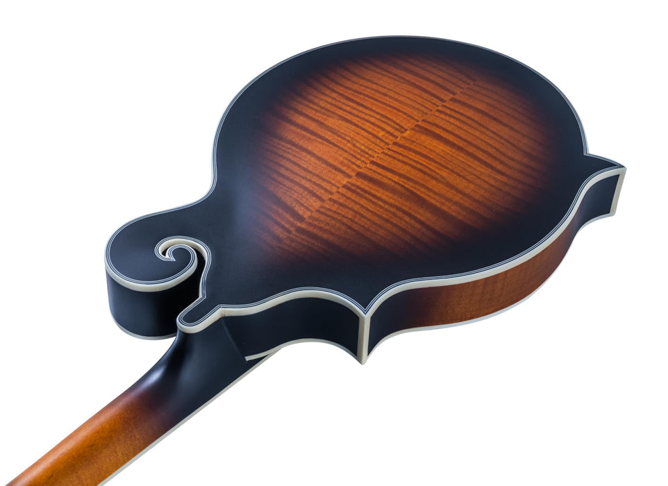 Washburn M3SEBRK F style Mandolin Brown Burst with Gig Bag
