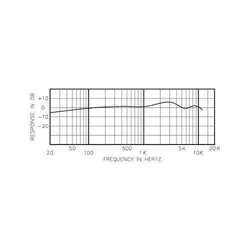 CAD Audio Omni Gooseneck Microphone, 19" (AMC105SNO-19-U)