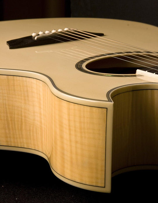 Washburn Festival EA20 Acoustic Electric Guitar (EA20-A)