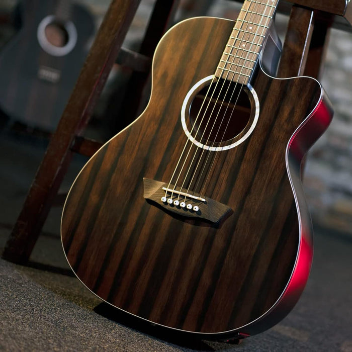 Washburn Deep Forest Ebony ACE (DFEACE)