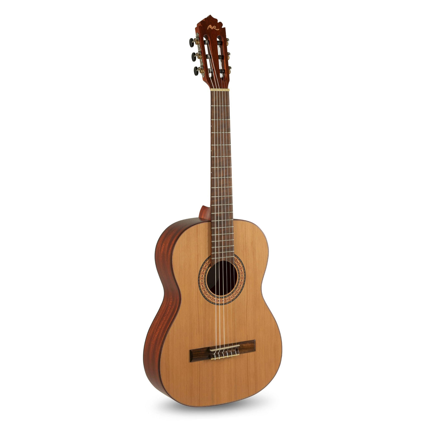 Acoustic Guitars