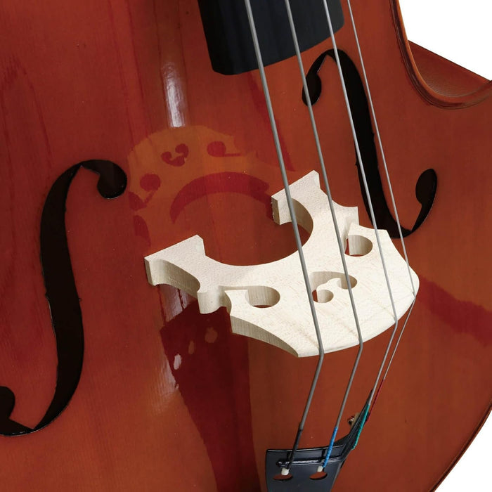Stentor 1951 3/4 String Bass