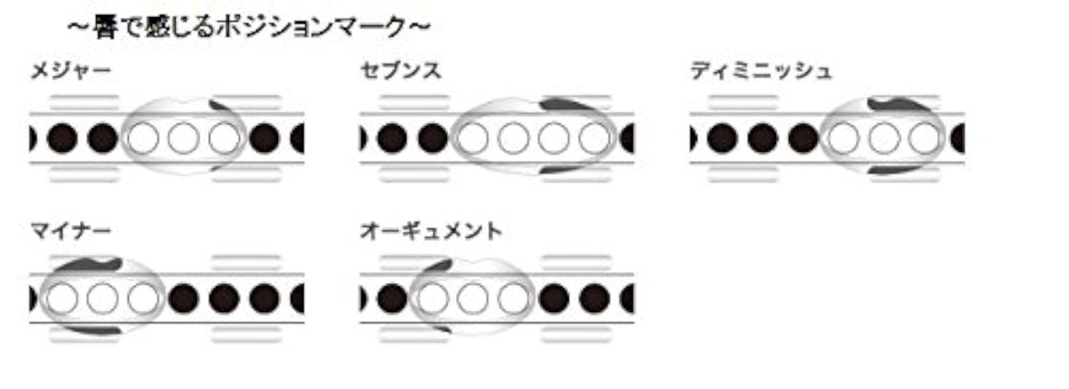Suzuki SSCH-56 Chord 56 Harmonica