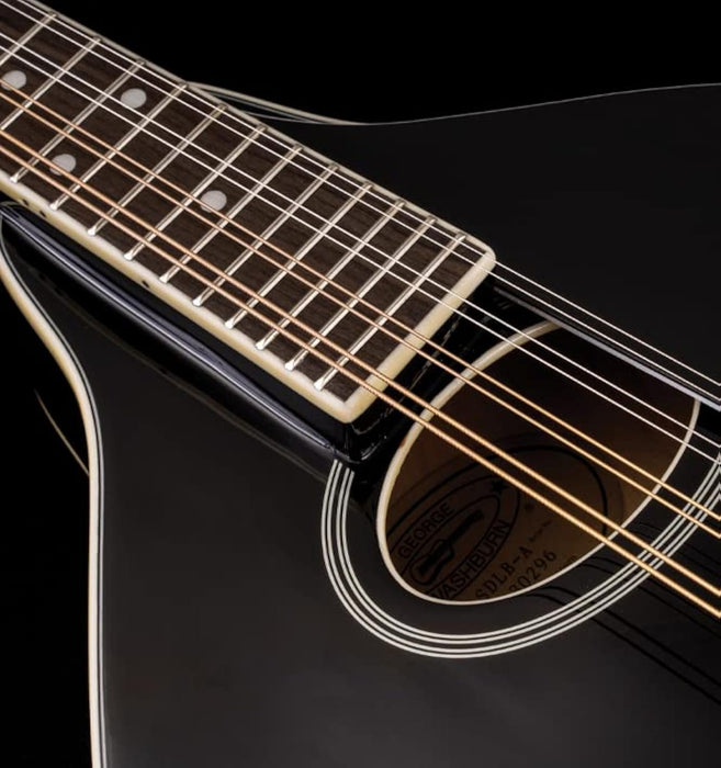 Washburn Americana M1SD, Mandolin