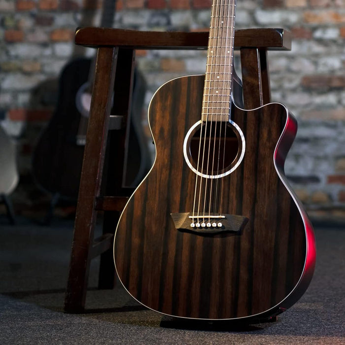 Washburn Deep Forest Ebony ACE (DFEACE)