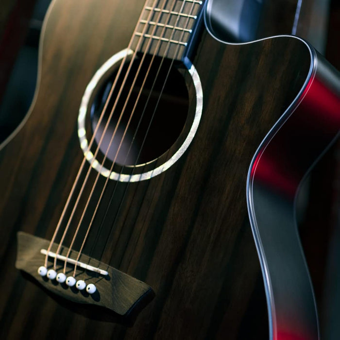 Washburn Deep Forest Ebony ACE (DFEACE)