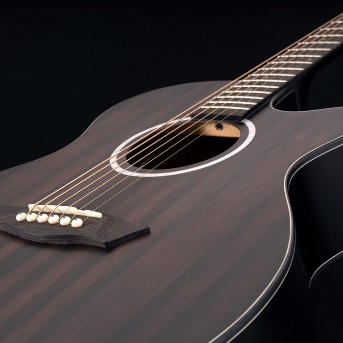 Washburn Deep Forest Ebony ACE (DFEACE)