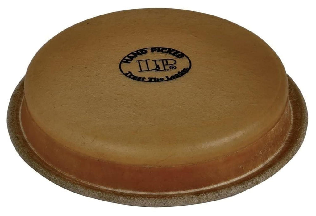 Small Head For 1964 Bongos