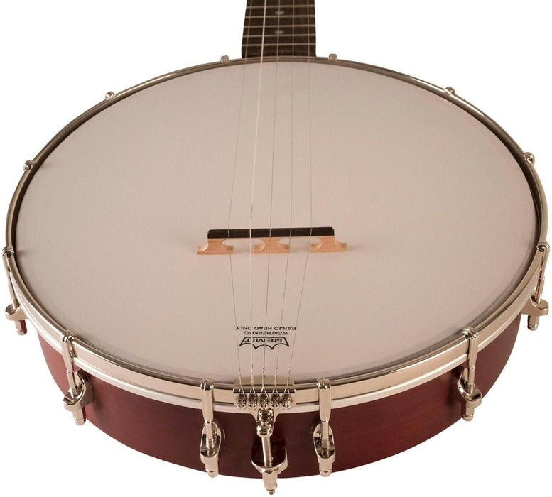 Recording King RKO-3S 4-String Banjo with Maple Neck and Satin Finish