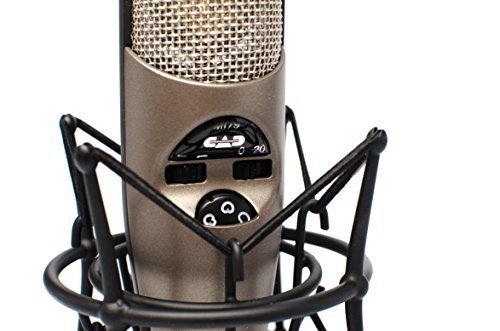 CAD Audio Variable-Pattern Condenser Microphone (M179-U)