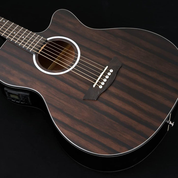 Washburn Deep Forest Ebony ACE (DFEACE)