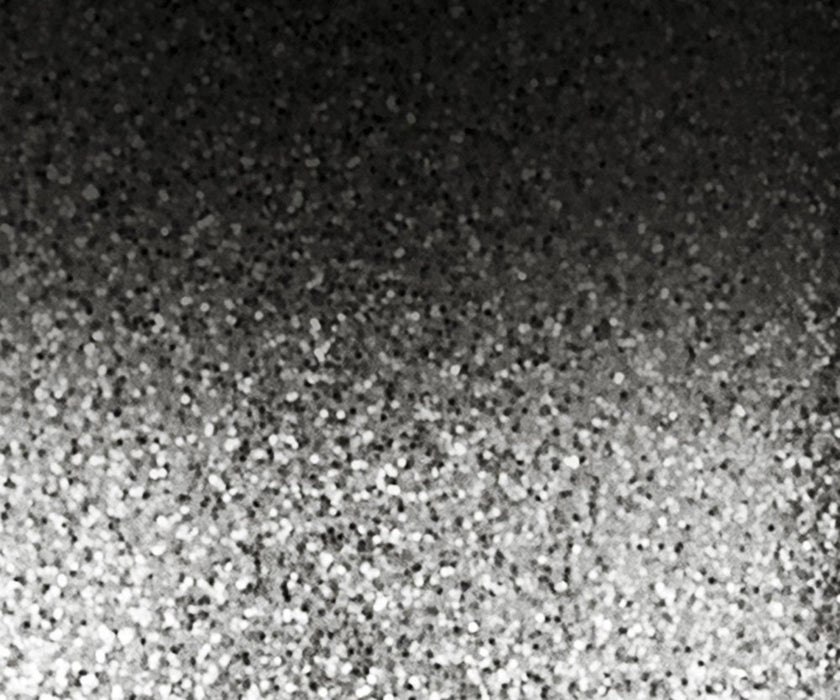 Pearl Championship Maple Varsity FFX Marching Snare Drum Fade Top Finish 14 x 12 in. Black Silver #982