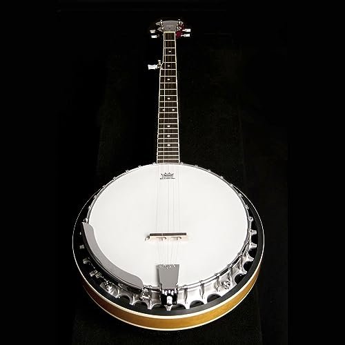 Washburn Americana Series (5 String) Banjo, Sunburst (B9-WSH-A-U)