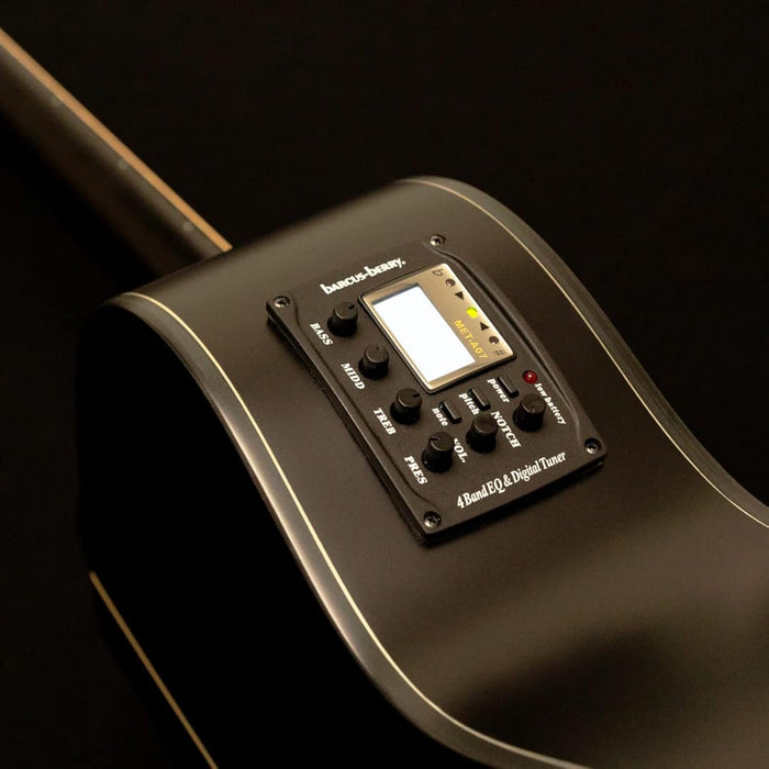 Washburn Deep Forest Ebony ACE (DFEACE)