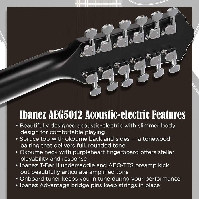 Ibanez Black AEG Series Single-Cutaway 12-String Acoustic-Electric Guitar (AEG5012)