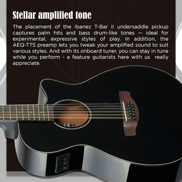 Ibanez Black AEG Series Single-Cutaway 12-String Acoustic-Electric Guitar (AEG5012)